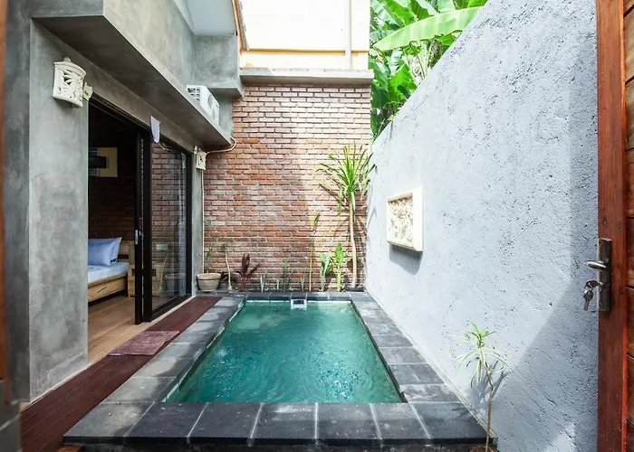 The Backyard Living *